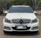 2014 Mercedes-Benz C-Class C200 Putih - Jual mobil bekas di DKI Jakarta-2