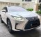 2019 Lexus RX 300 Putih - Jual mobil bekas di DKI Jakarta-2