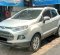 2014 Ford EcoSport Titanium Silver - Jual mobil bekas di DKI Jakarta-1