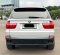 2016 BMW X5 xDrive35i xLine Abu-abu - Jual mobil bekas di DKI Jakarta-5