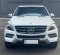 2015 Mercedes-Benz M-Class ML 250 Putih - Jual mobil bekas di DKI Jakarta-2