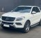 2015 Mercedes-Benz M-Class ML 250 Putih - Jual mobil bekas di DKI Jakarta-6