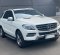 2015 Mercedes-Benz M-Class ML 250 Putih - Jual mobil bekas di DKI Jakarta-7