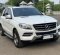 2015 Mercedes-Benz M-Class ML 250 Putih - Jual mobil bekas di DKI Jakarta-1