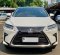 2018 Lexus RX 300 Luxury Putih - Jual mobil bekas di DKI Jakarta-3