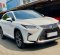 2018 Lexus RX 300 Luxury Putih - Jual mobil bekas di DKI Jakarta-6