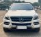 2015 Mercedes-Benz M-Class ML 250 Putih - Jual mobil bekas di DKI Jakarta-2