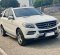 2015 Mercedes-Benz M-Class ML 250 Putih - Jual mobil bekas di DKI Jakarta-3