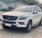 2015 Mercedes-Benz M-Class ML 250 Putih - Jual mobil bekas di DKI Jakarta-8