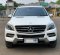 2015 Mercedes-Benz M-Class ML 250 Putih - Jual mobil bekas di DKI Jakarta-5