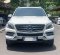 2013 Mercedes-Benz M-Class ML 250 Putih - Jual mobil bekas di DKI Jakarta-5