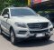 2013 Mercedes-Benz M-Class ML 250 Putih - Jual mobil bekas di DKI Jakarta-9