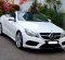 2013 Mercedes-Benz E-Class E 200 Putih - Jual mobil bekas di DKI Jakarta-8