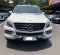 2013 Mercedes-Benz M-Class ML 250 Putih - Jual mobil bekas di DKI Jakarta-8