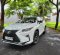 2019 Lexus RX 300 Putih - Jual mobil bekas di DI Yogyakarta-13