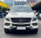 2013 Mercedes-Benz M-Class ML 250 Putih - Jual mobil bekas di DKI Jakarta-3