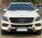 2013 Mercedes-Benz M-Class ML 250 Putih - Jual mobil bekas di DKI Jakarta-8