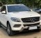 2013 Mercedes-Benz M-Class ML 250 Putih - Jual mobil bekas di DKI Jakarta-11