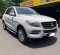 2013 Mercedes-Benz M-Class ML 250 Putih - Jual mobil bekas di DKI Jakarta-10