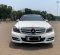 2014 Mercedes-Benz C-Class C200 Putih - Jual mobil bekas di DKI Jakarta-9