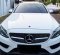 2015 Mercedes-Benz C-Class 250 Putih - Jual mobil bekas di DKI Jakarta-2