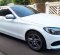 2015 Mercedes-Benz C-Class 250 Putih - Jual mobil bekas di DKI Jakarta-3