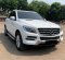 2015 Mercedes-Benz M-Class ML 250 Putih - Jual mobil bekas di DKI Jakarta-5