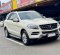 2013 Mercedes-Benz M-Class ML 250 Putih - Jual mobil bekas di DKI Jakarta-9