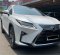 2018 Lexus RX 300 Putih - Jual mobil bekas di DKI Jakarta-2