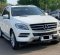 2013 Mercedes-Benz M-Class ML 250 Putih - Jual mobil bekas di DKI Jakarta-9