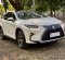 2018 Lexus RX 300 Luxury Putih - Jual mobil bekas di DKI Jakarta-3