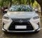 2018 Lexus RX 300 Luxury Putih - Jual mobil bekas di DKI Jakarta-10