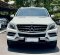 2013 Mercedes-Benz M-Class ML 250 Putih - Jual mobil bekas di DKI Jakarta-4