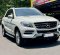 2013 Mercedes-Benz M-Class ML 250 Putih - Jual mobil bekas di DKI Jakarta-5