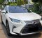 2019 Lexus RX 300 Luxury Putih - Jual mobil bekas di DKI Jakarta-5