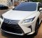 2019 Lexus RX 300 Luxury Putih - Jual mobil bekas di DKI Jakarta-6