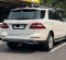 2013 Mercedes-Benz M-Class ML 250 Putih - Jual mobil bekas di DKI Jakarta-2