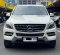 2013 Mercedes-Benz M-Class ML 250 Putih - Jual mobil bekas di DKI Jakarta-4