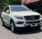 2013 Mercedes-Benz M-Class ML 250 Putih - Jual mobil bekas di DKI Jakarta-5