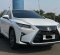 2018 Lexus RX 330 Putih - Jual mobil bekas di DKI Jakarta-9