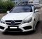 2013 Mercedes-Benz E-Class E250 Putih - Jual mobil bekas di DKI Jakarta-8