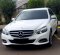 2015 Mercedes-Benz E-Class 250 Putih - Jual mobil bekas di DKI Jakarta-2