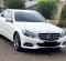 2015 Mercedes-Benz E-Class 250 Putih - Jual mobil bekas di DKI Jakarta-19