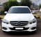 2015 Mercedes-Benz E-Class 250 Putih - Jual mobil bekas di DKI Jakarta-21