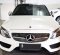 2015 Mercedes-Benz C-Class 250 Putih - Jual mobil bekas di DKI Jakarta-3